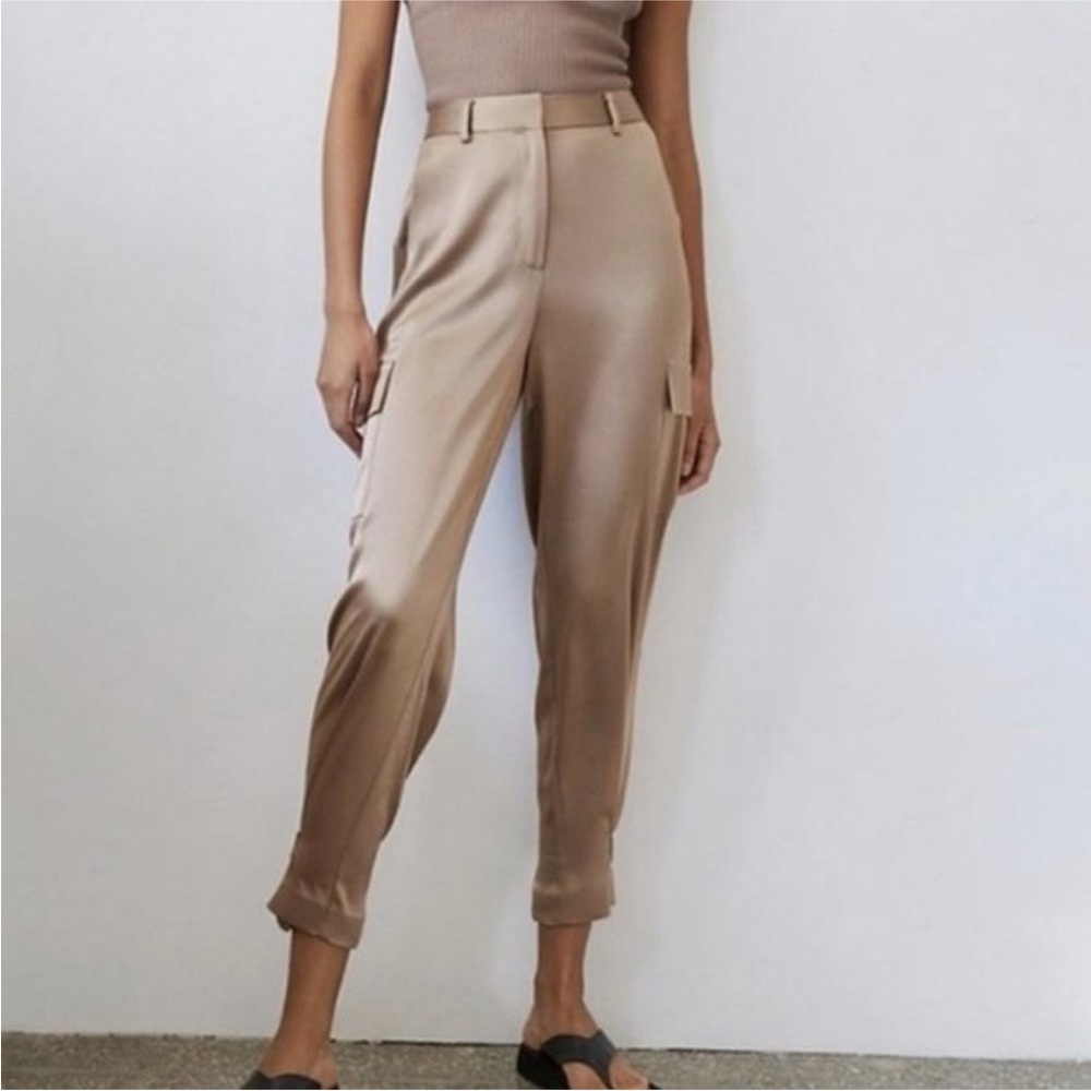 Babaton Aritzia Silk Pants